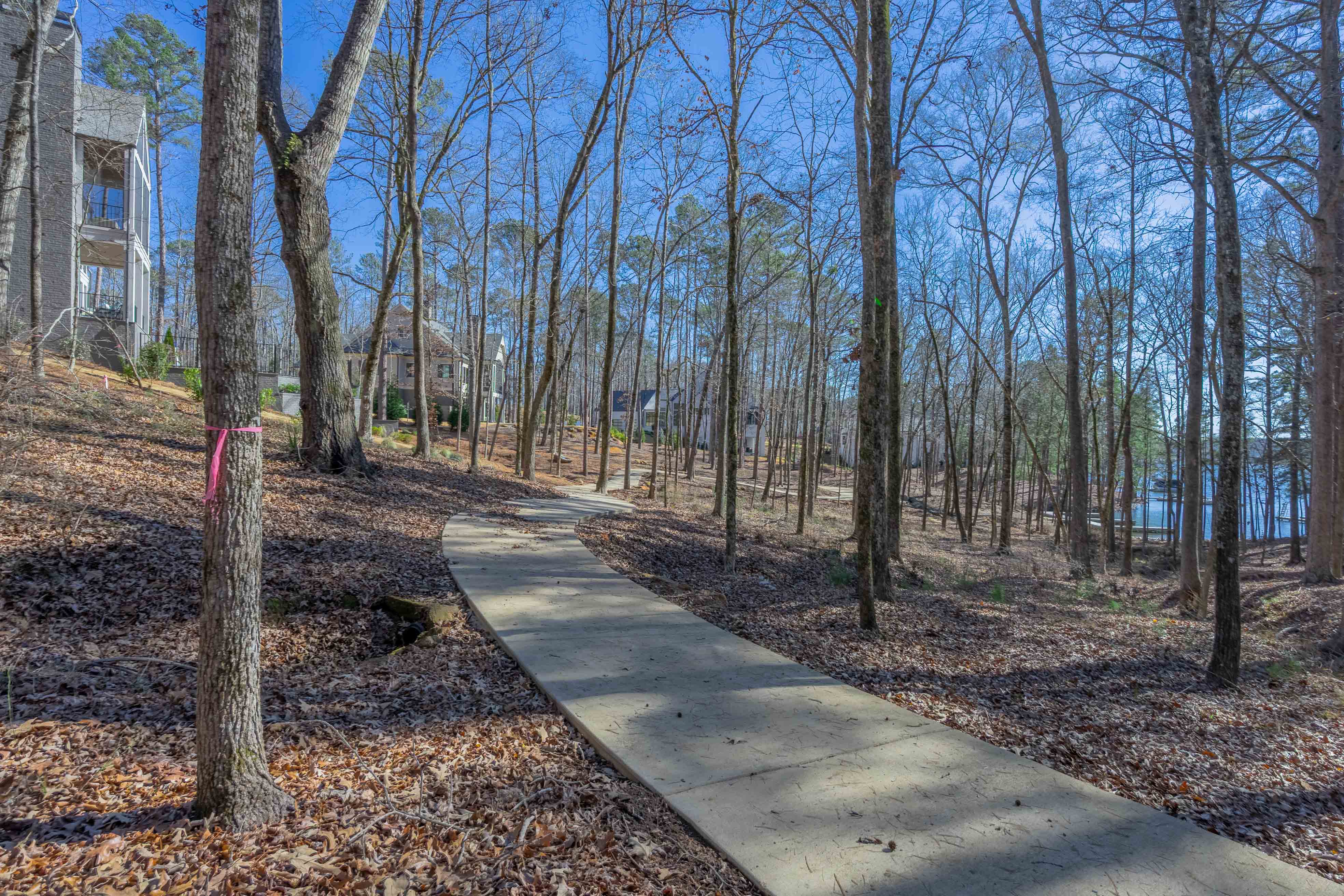 1261 Jumping Rock Drive image 10